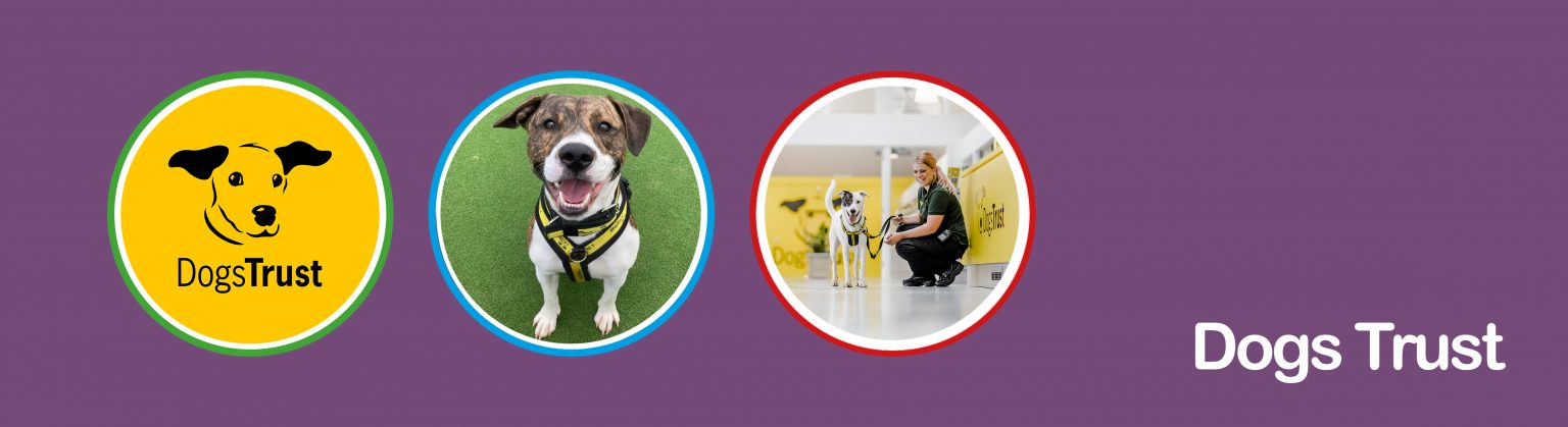 Dogs Trust | Recycling For Good Causes